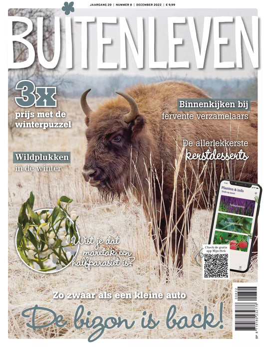 Zandkasteel in Buitenleven