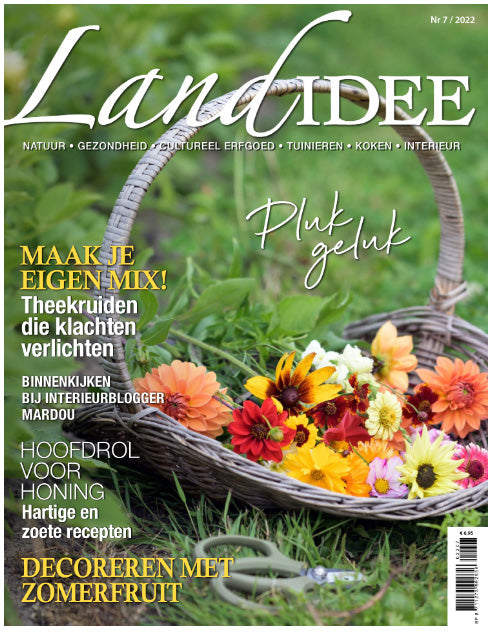 LEAFIES in Landidee
