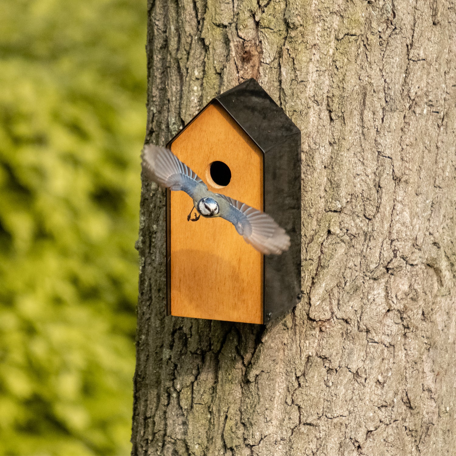 een ontwerp van een modern vogelhuisje 