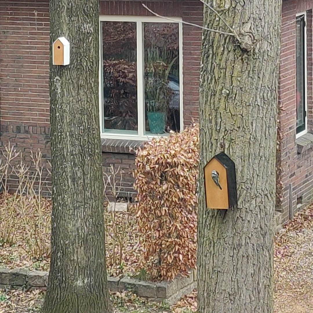 Video laden: 