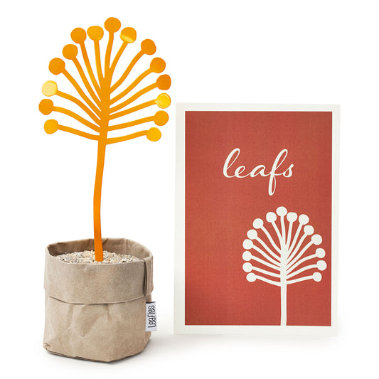 LEAFIES Set - Daisy, geel